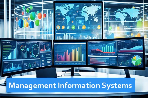 Management Information Systems: Maximize Business Efficiency