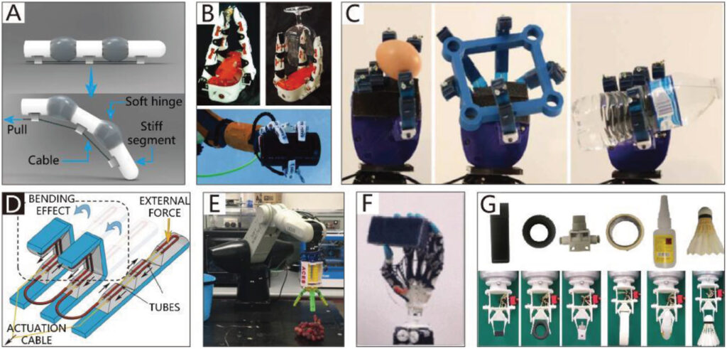 Soft Robotics and Bio-Inspired Designs